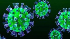 欧林生物与陆军军医大学联合开展新型冠状病毒肺炎（COVID-19）疫苗的研发